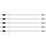 Phoenix Contact - Konfektioniertes Sensor-Aktor-Kabel Sensor-/Aktor-Kabel SAC-5P-MS #1407325 5-pol.2m