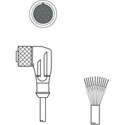 Leuze - Konfektioniertes Sensor-Aktor-Kabel Anschlussleitung KD U-M23-CW-P1-100