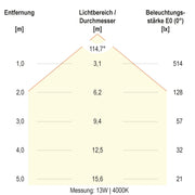 EVN Lichttechnik - Decken-/Wandleuchte LED-Anbauleuchte WR30181425 IP66