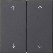 Gira - Abdeckung/Bedienelement für Installationsschalterprogramme Wippe 2-fach 538728 Anthrazit