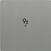 Busch-Jaeger - Bussystem-Tastwippe Wippe grau/met 6234-10-803 solo