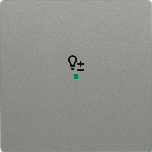 Busch-Jaeger - Bussystem-Tastwippe Wippe grau/met 6234-10-803 solo