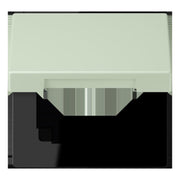 Jung - Abdeckrahmen Klappdeckel m. Stellfeder LC 990 BFKL 218 vert anglais pale
