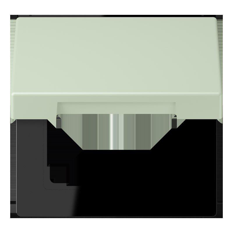 Jung - Abdeckrahmen Klappdeckel m. Stellfeder LC 990 BFKL 218 vert anglais pale