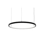 Brumberg Leuchten - Pendelleuchte LED-Pendel-Ringleuchte 84030184MT 4000K, Matter
