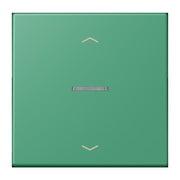 Jung - Abdeckung/Bedienelement für Installationsschalterprogramme Wippe mit Lichtleiter LC 101 KO5P 250 vert 59