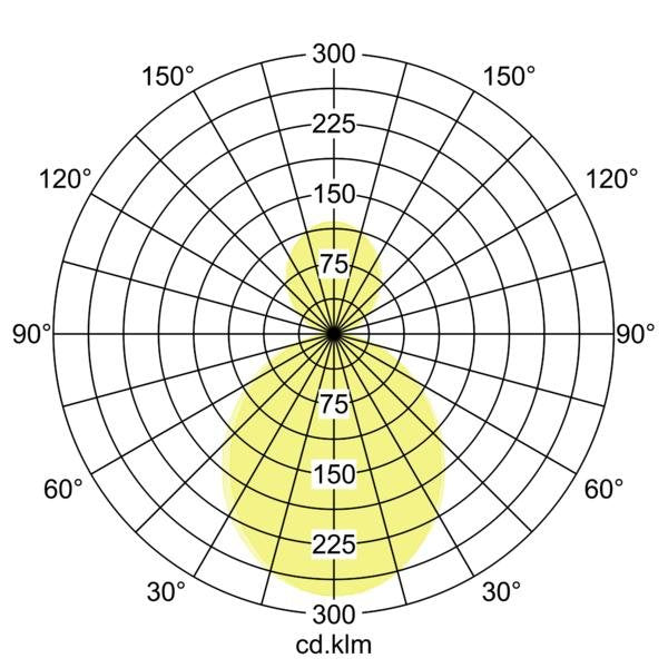 Brumberg Leuchten - Pendelleuchte LED-Pendel-Ringleuchte 13548163 D2500mm, H100mm