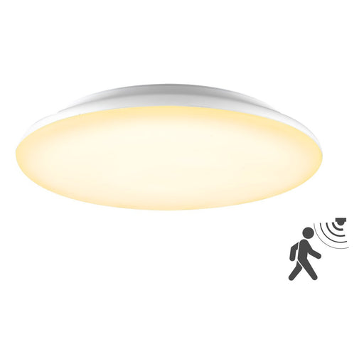 EVN Lichttechnik - Decken-/Wandleuchte LED-Anbauleuchte L40300125BM m. Bewegungsmelder
