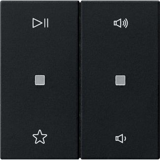 Gira - Bedienelement intelligent Wippe 2f Audiostrg 5384005 Schwarz m