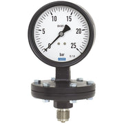 Wika Wiegand - Membranmanometer Plattenfedmano 422.12.100 9042512 Graugu 250mbar G1/2B