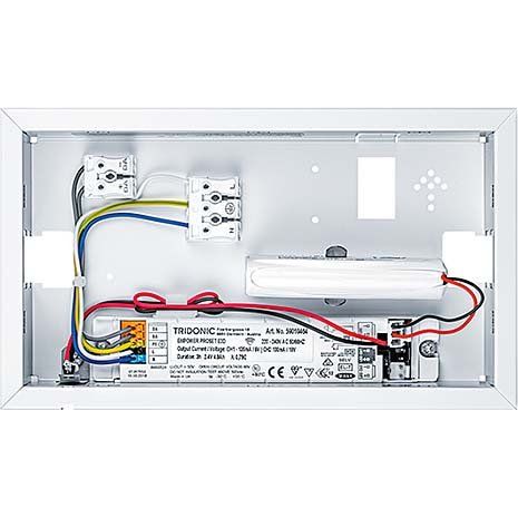 Zumtobel Group - Sicherheitsleuchte Sicherheitszeichenleuchte PURESIGN  #42186040