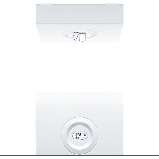 Zumtobel Group - Sicherheitsleuchte Sicherheitsleuchte RESCLITE P #42934336