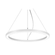 Brumberg Leuchten - Pendelleuchte LED-Pendel-Ringleuchte 13850178CA CAS., D600mm, H50mm
