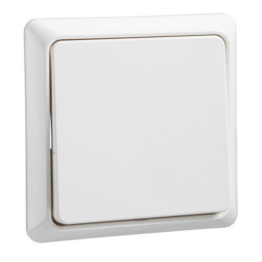 Elso - Installationsschalter Universalschalter rw 241604 UP20