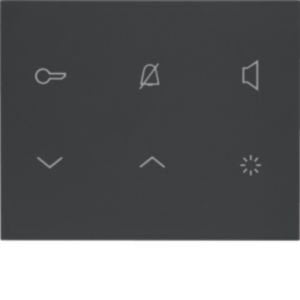Elcom - Innenstation für Türkommunikation Innenstation-Audio 2D REA114Y anthrazit matt TOUCH