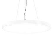 Zumtobel Group - Pendelleuchte LED - Rundleuchte ONDA2 P AV #42187063 2700 - 6500K