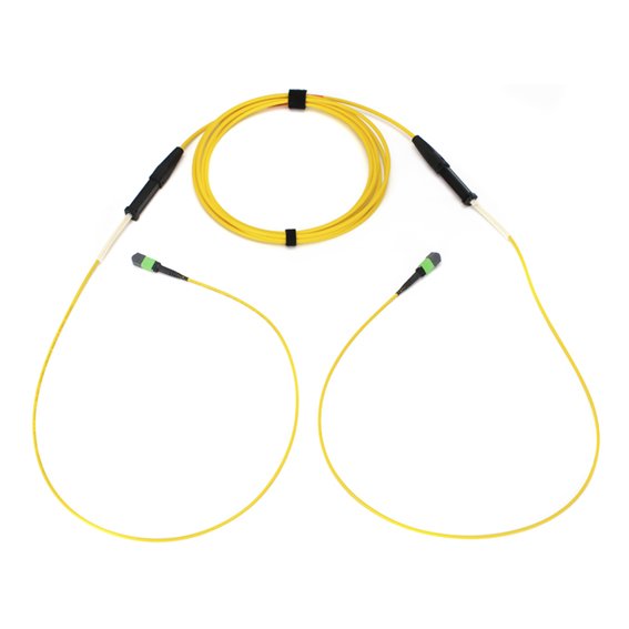 Corning - Patchkabel LWL Stammkabel 96FasernOS2 65m G909096GLZ88U065M