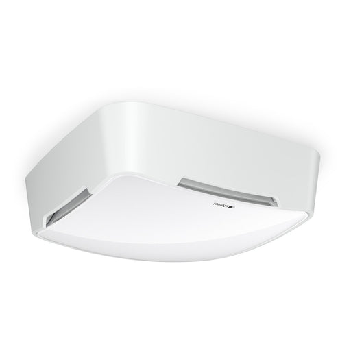 Steinel - Bussystem-Bewegungsmelder TRUE PRESENCE Melder Multisensor #081850 AP − 1 Stück