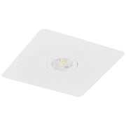 Fischer - Sicherheitsleuchte LED-Sicherheitsleuchte BQEE15Z