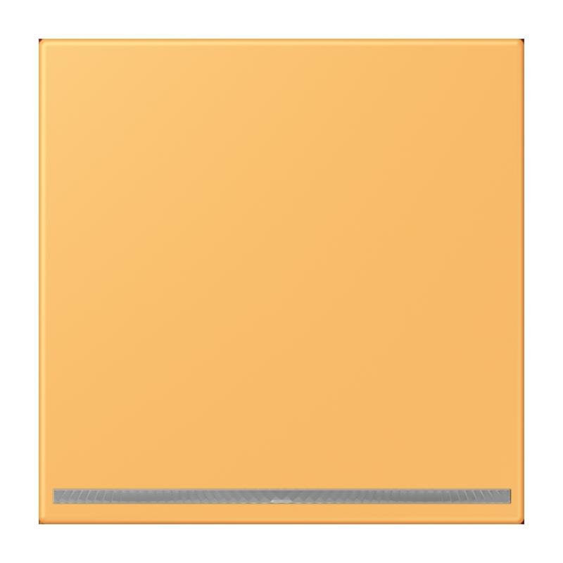 Jung - Orientierungsleuchte LED-Orientierungslicht LC 1539-OO LNW 254