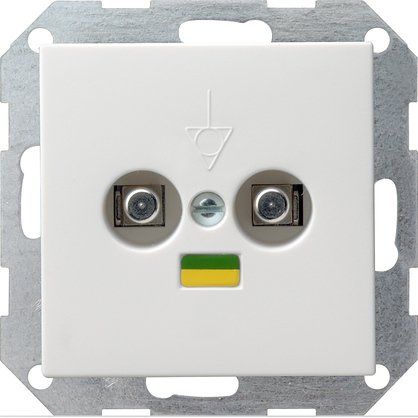 Gira - Potentialausgleichsdose Potentialausgl.-Dose 040503 rws-gl