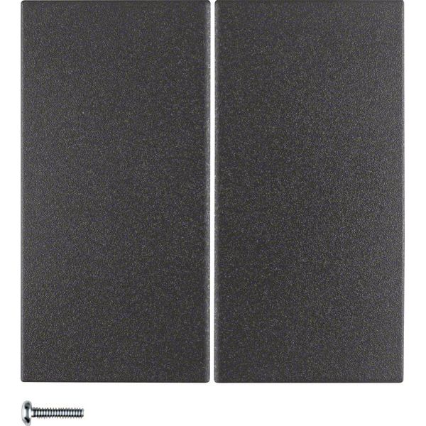 Berker - Bussystem-Tastwippe KNX-Funk Taste 4fach 85648185 anthrazitmatt