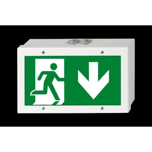 H1 - Sicherheitsleuchte Rettungszeichenleuchte Bouncer L CBS