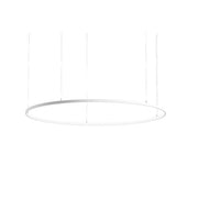 Brumberg Leuchten - Pendelleuchte LED-Pendel-Ringleuchte 84034173 3000K, DALI-2