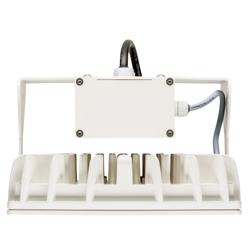 Pracht - Hallen-Reflektorleuchte LED-Hallenstrahler QUADRONIUS #86330121 4000K DALI IP65