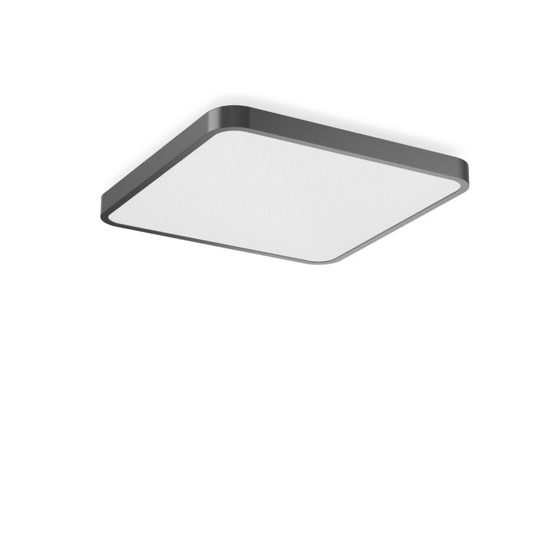RZB - Decken-/Wandleuchte LED-Wand-u. Deckenleuchte 312440.0031.76 830, DALI, anthr