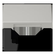 Jung - Abdeckrahmen Klappdeckel m. Stellfeder LC 990 BFKL 205 gris clair 31