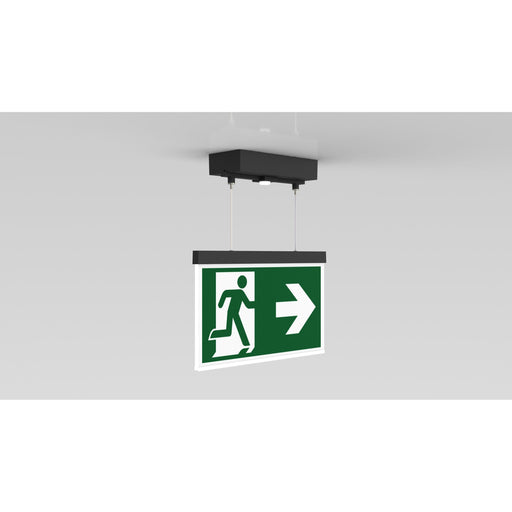 RP-Technik - Sicherheitsleuchte LED-Rettungszeichenleuchte AMDT009ML-AZ ZB + ML, anthrazit