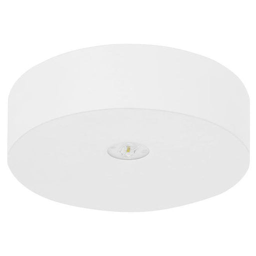 Fischer - Sicherheitsleuchte LED-Sicherheitsleuchte AXD815M EB 8h