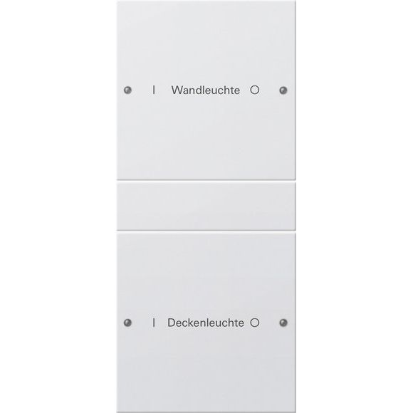 Gira - Bussystem-Tastwippe Wippenset 2-fach 220227 beschr. Sys 55 rws