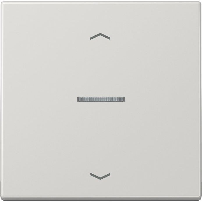 Jung - Abdeckung/Bedienelement für Installationsschalterprogramme Wippe Symbole/Lichtl.lgr LS 990 KO5P LG für Taster
