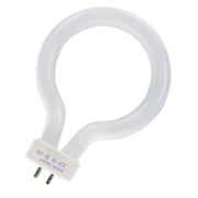 Scharnberger+Hasenbein - Leuchtstofflampe Ringröhre 82685 12mm, Ring D=80mm