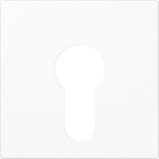 Jung - Abdeckung/Bedienelement für Installationsschalterprogramme Abdeckung aws A 525 PL WW für Schlüsselschalt