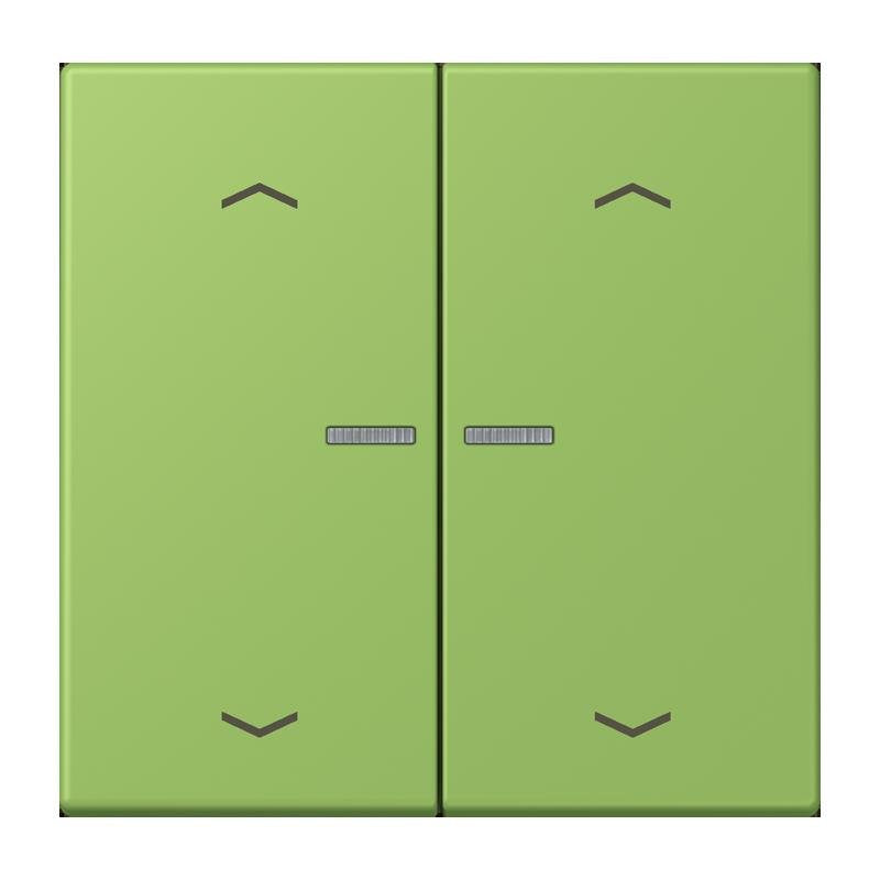 Jung - Abdeckung/Bedienelement für Installationsschalterprogramme Wippe mit Lichtleiter LC 102 KO5P 220 vert 31