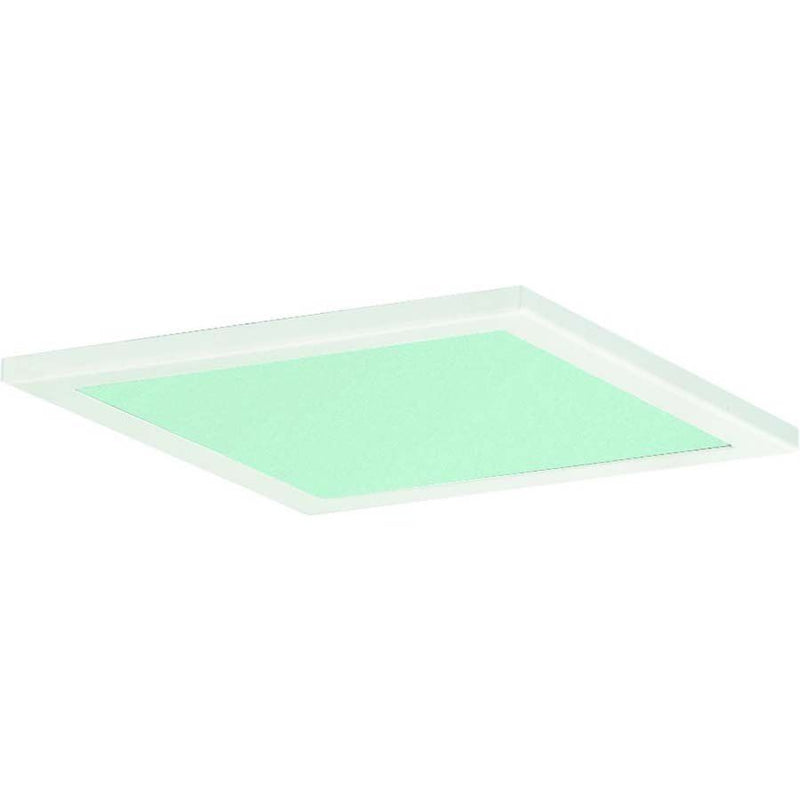 Ridi-Leuchten - Lichttechnisches Zubehör/Ersatzteile für Leuchten Dekorglasscheibe DQ235-SM-G-D-W