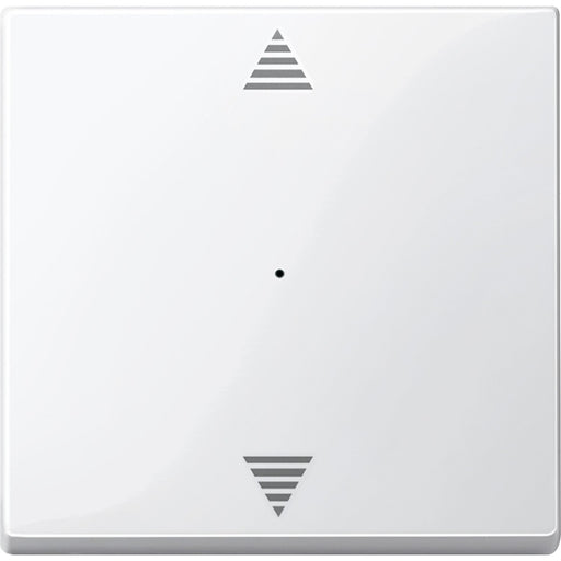 Merten - Bussystem-Tastwippe Wippe pws/gl 619419 für Tastermodul 1f