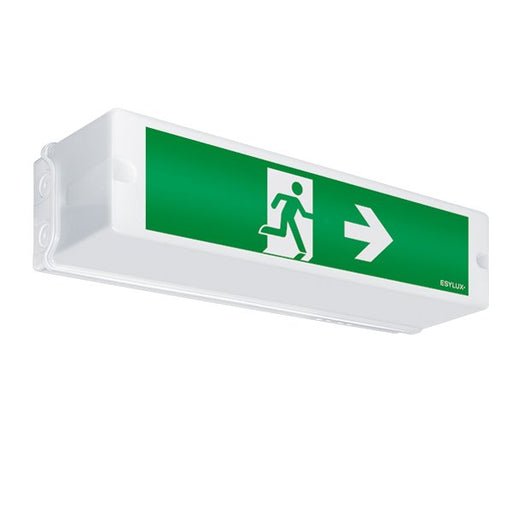 ESYLUX - Sicherheitsleuchte Notleuchte SLAELLED3h14mIRSCSM 14m EKW LED