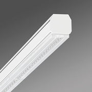 Regiolux - Geräteträger für Lichtbandsystem LED-Geräteträger SRGVCT E#19525006940 865, DALI2