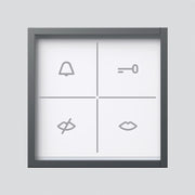 Siedle&Söhne - Funktionsmodul für Türkommunikation Zustandsanzeige-Modul ZAM 670-0 DG dunkelgrau-Glimmer