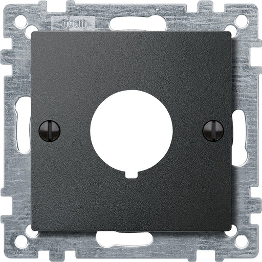 Merten - Einsatz/Abdeckung für Kommunikationstechnik Zentralplatte anth 393914 für Befehlsgerät