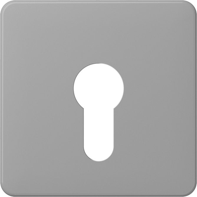 Jung - Abdeckung/Bedienelement für Installationsschalterprogramme Abdeckung gr CD 525 GR für Schlüsselschalt