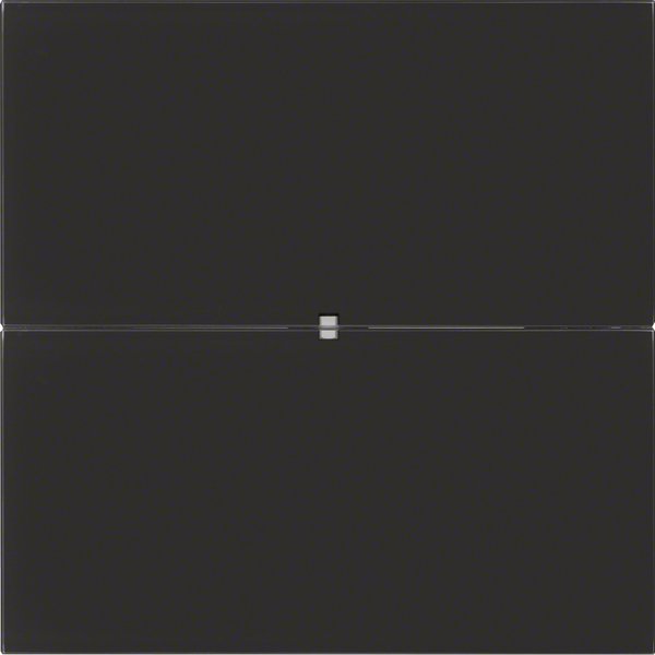 Berker - Bussystem-Tastsensor Tastsensor 2fach 75162592 Glas schwarz