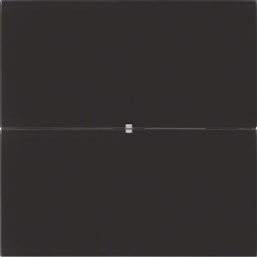 Berker - Bussystem-Tastsensor Tastsensor 2fach 75162592 Glas schwarz