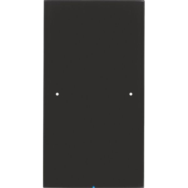 Berker - Bussystem-Tastsensor Touch-Sensor 1fach 75141855 Glas schwarz