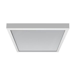 Regiolux - Decken - /Wandleuchte Anbauleuchte lowea - L #60818036650 DALI2, 830/840