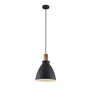Brumberg Leuchten - Decken-/Wandleuchte Pendelleuchte 1x E27 57412080